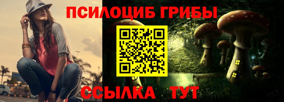 Псилоцибиновые грибы Magic Shrooms  Галлюциногенные грибы прущие грибы  Вход с VPN  Будённовск 